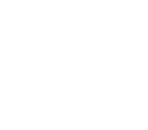 bfa logo white